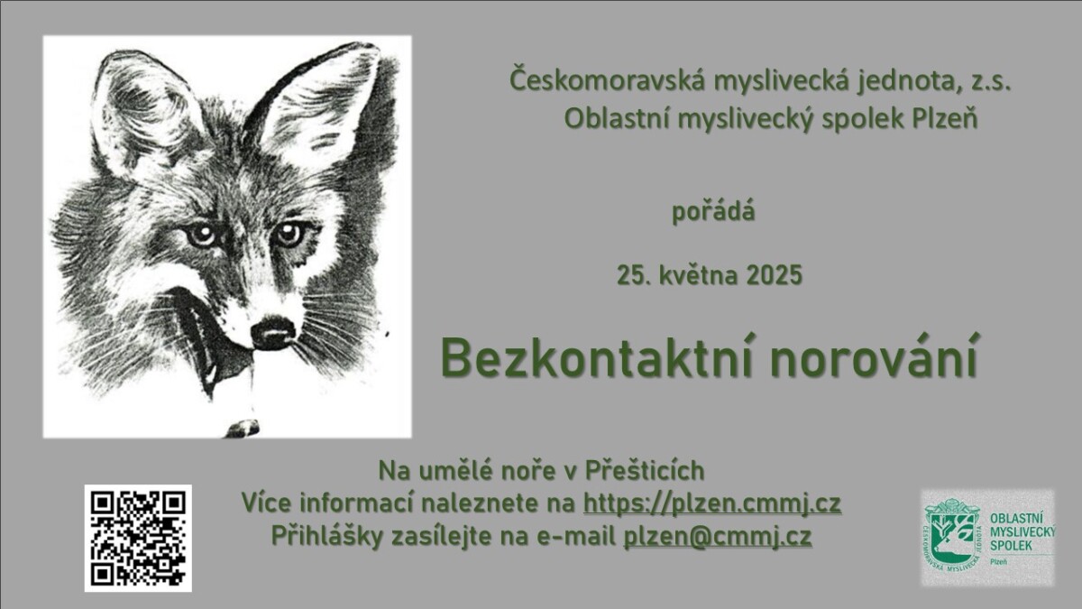Norování nováčků